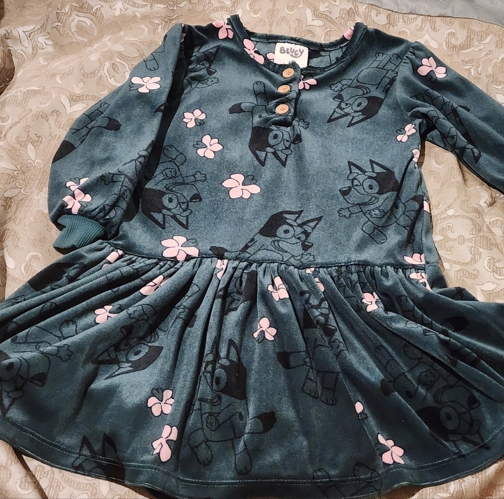 Bluey Green Casual Fit and Flare Dress Faux Velvet 3T